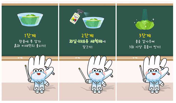 봄동의 세척 방법이 단계적으로 잘 설명되어 있다. (출처: 식품의약품안전처 블로그)