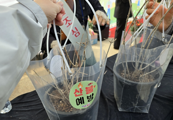 저마다 받아든 목수국 앞에는 산불예방 스트커가 붙어 있었다. <본인촬영>