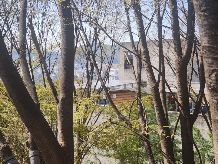 도서관 지붕에 태양광 패널을 설치해서 자체 전력 생산도 이루어지고 있다. (본인 촬영)