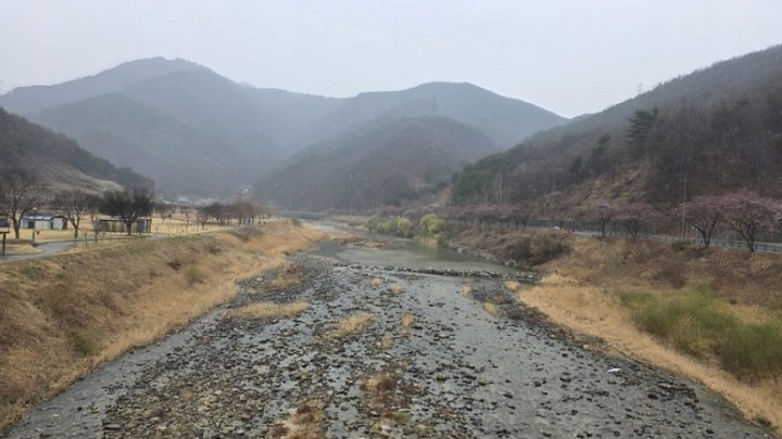 봄, 여름이면 도시 근교 개울가로 자주 놀러 간다. 본인 촬영