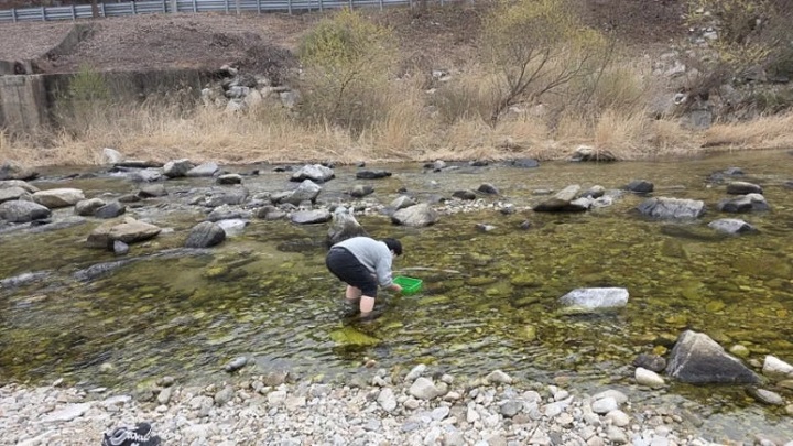 봄, 여름이면 도시 근교 개울가로 자주 놀러 간다. 본인 촬영