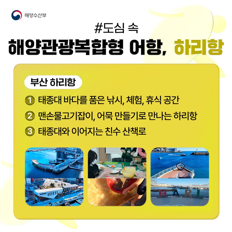 보고 즐기고 쉬어가는 남동해 바다마을