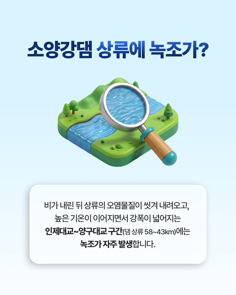 소양호 녹조 대응 UP, 먹는 물 불안은 DOWN