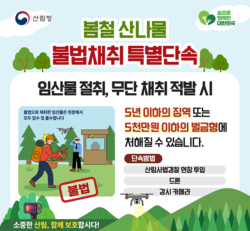 봄철 산나물 불법채취 특별단속 하단내용 참조
