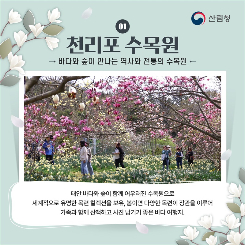 따뜻한 봄, 가족과 함께 꼭 가봐야 할 수목원