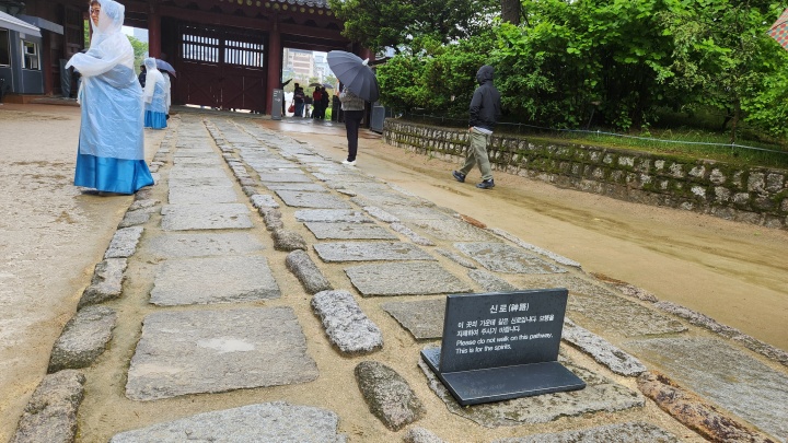 신로는 조상이나 신령이 다니는 신성한 통로다. 함부로 밟아서는 안된다. (본인촬영)