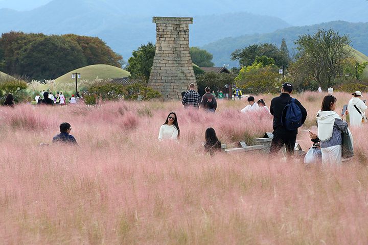 "지방공항이 곧 여행 시작점"…정부, 관광 동선 새 판 짠다