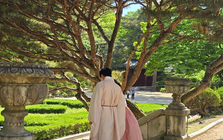예비 부부들이 창경궁에서 촬영하고 있다.