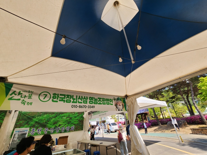 축제장 부스의 천장이 높아서 뜨거운 열기를 피하고 산나물의 싱싱한 상태를 유지하려는 주최 측의 고민이 반영되어 있었다. (본인 촬영)