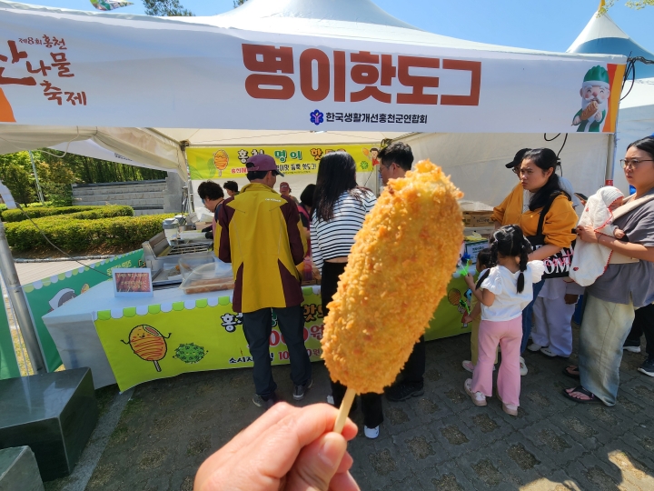 홍천을 대표하는 산나물 가운데 하나인 명이나물로 만든 '명이핫도그' 판매 부스에 사람들이 몰렸다. (본인 촬영)