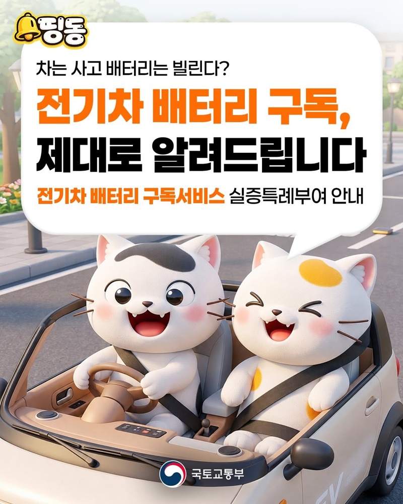 차는 사고 배터리는 빌린다?