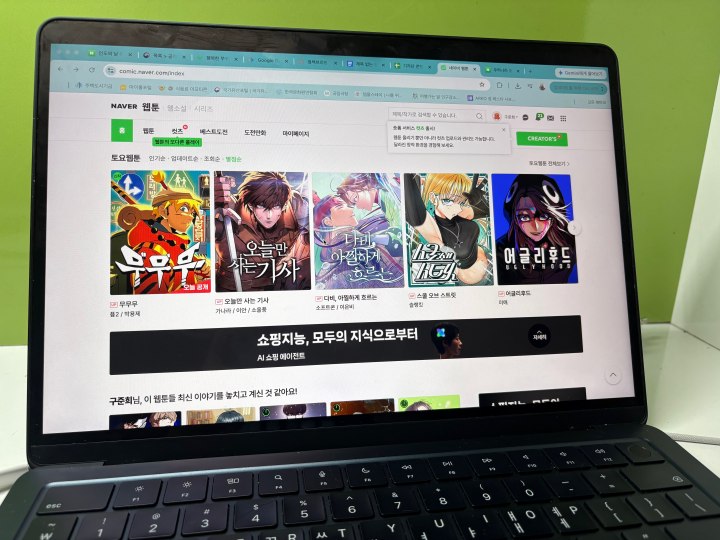 공식 웹툰 플랫폼 '네이버 웹툰'에서 정당한 값을 지불하고 다양한 작품들을 감상했다. (본인촬영)