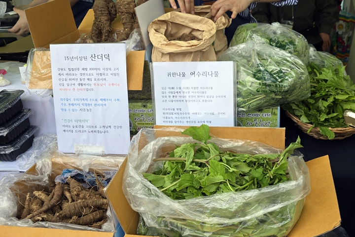 질병관리청은 고혈압 예방을 위해 신선한 채소를 많이 먹는 걸 권고하고 있다. (출처=본인 촬영)