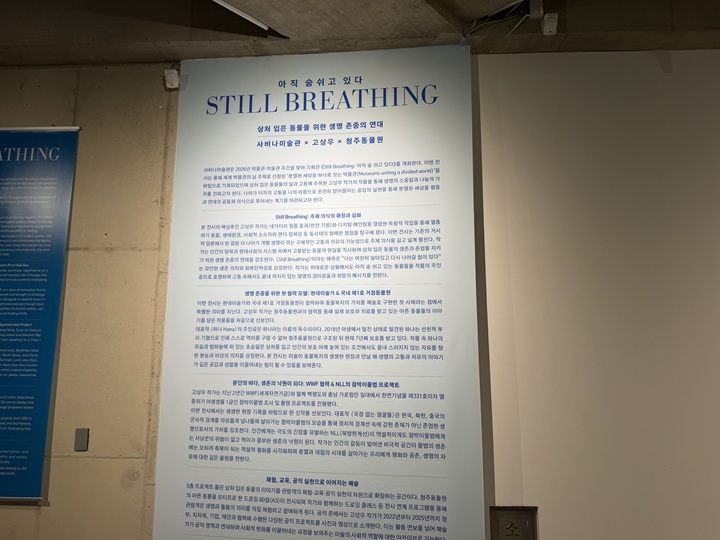 사비나미술관_전시 설명_직접촬영