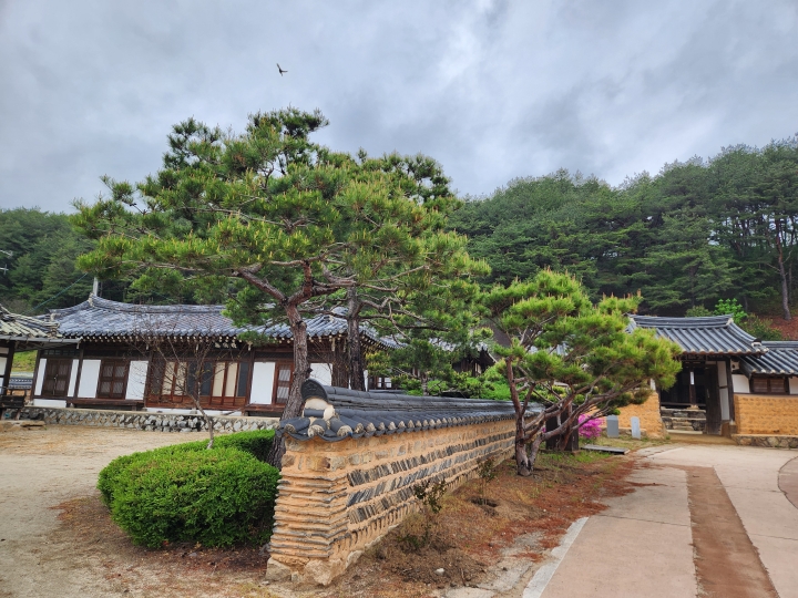 한국 정신문화의 수도, 안동은 시내를 벗어나면 곳곳에 고택이 많이 남아 있다. (본인 촬영)