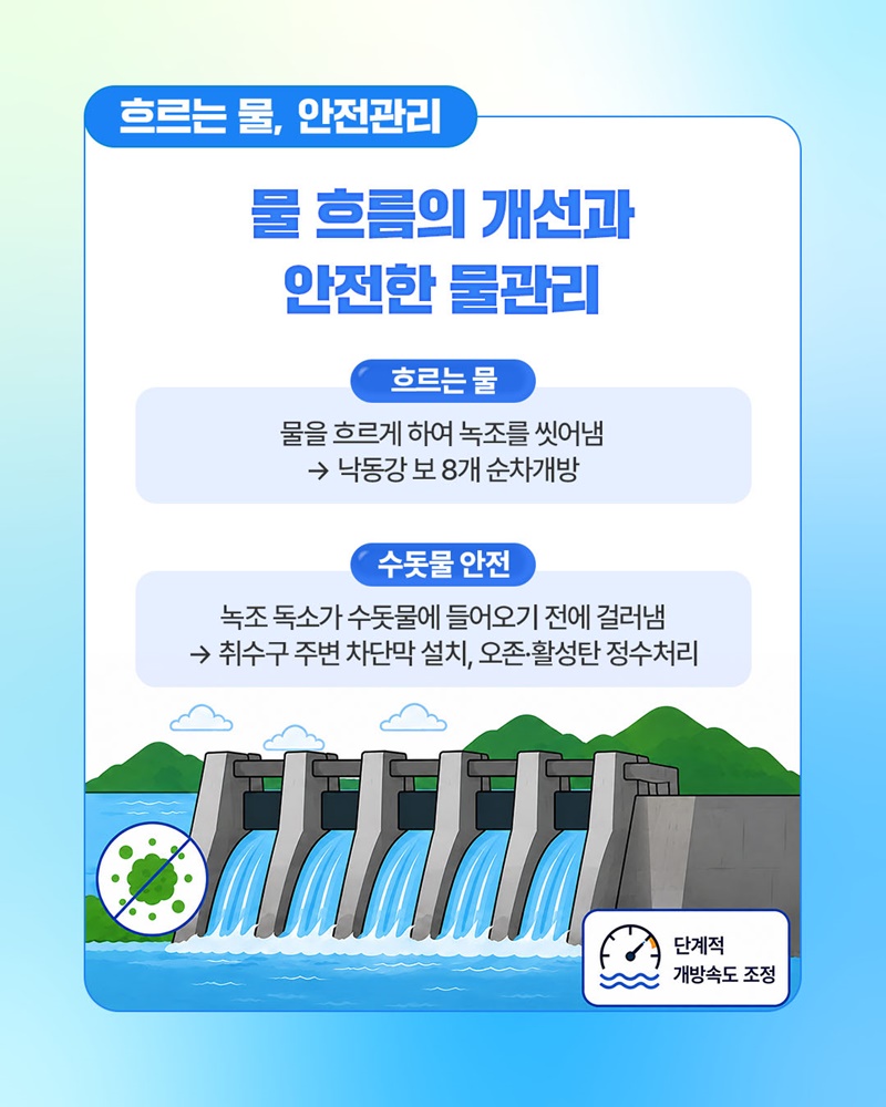 녹조가 오기 전 기후부가 먼저 움직입니다