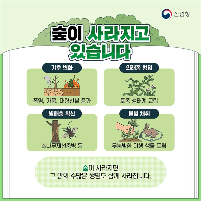 숲이 사라지면 우리도 사라집니다