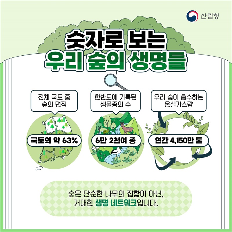 숲이 사라지면 우리도 사라집니다