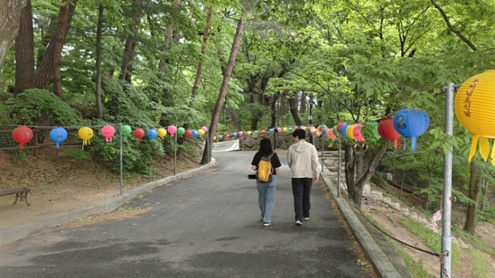 보도사진