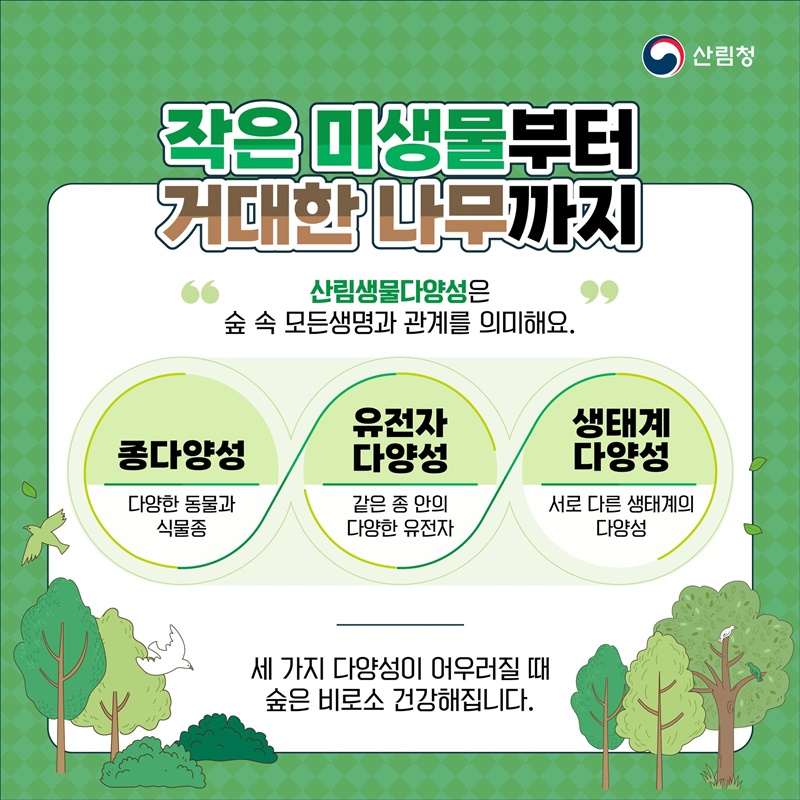숲이 사라지면 우리도 사라집니다