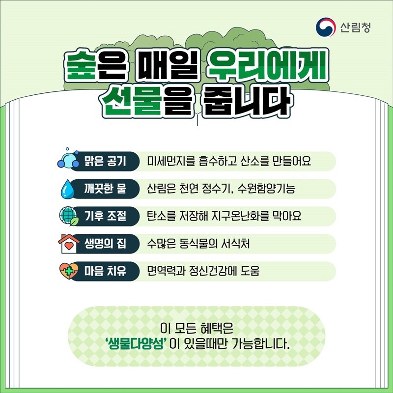 숲이 사라지면 우리도 사라집니다