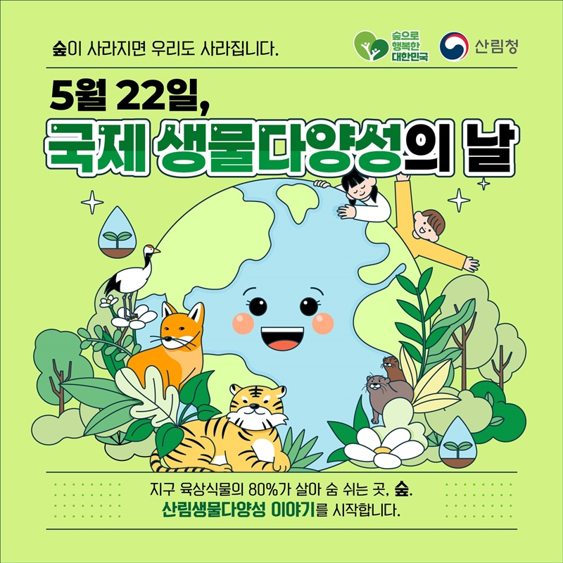 숲이 사라지면 우리도 사라집니다