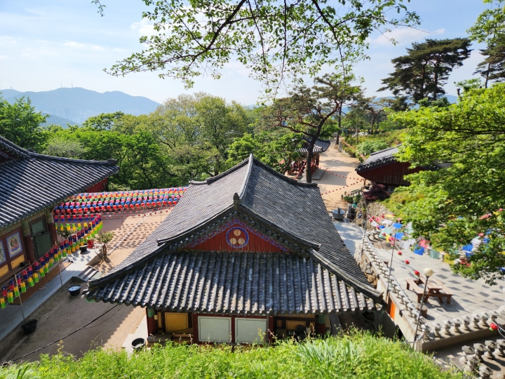 백양산 자락에 자리한 선암사 위쪽에서 아래를 내려다본 모습 (본인 촬영)