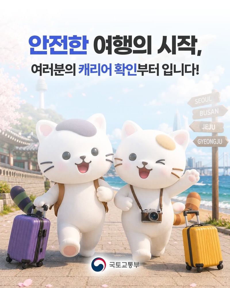 휴대 vs 위탁 수하물 상식 총정리