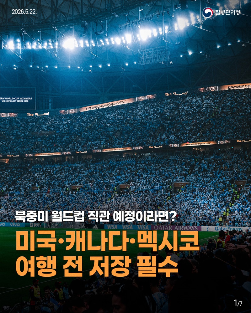 북중미 월드컵 직관 예정이라면?