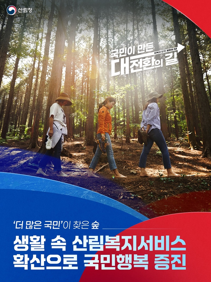 '더 많은 국민'이 찾은 숲 하단내용 참조