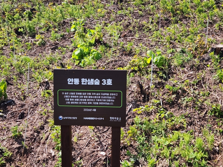 남부지방산림청과 민간기업이 함께 추진 중인 공동산림사업 '안동 한쌤숲 3호' 현장. (본인 촬영)