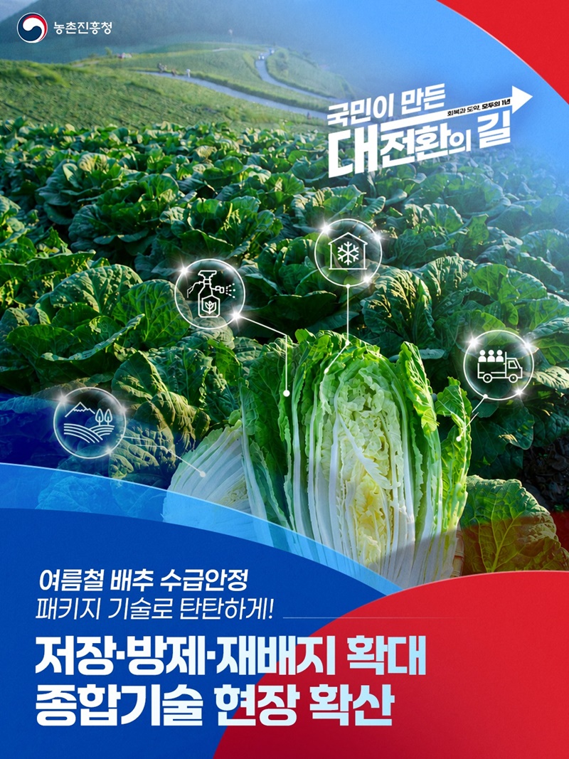 여름철 배추 수급안정, 패키지 기술로 탄탄하게!