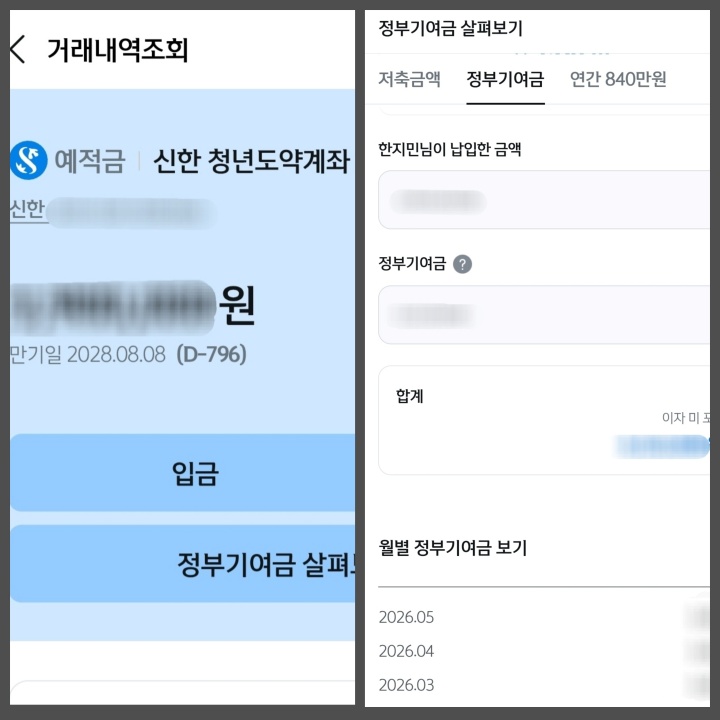 나는 2년 전 즈음에 청년도약계좌에 가입한 뒤 꾸준히 저축하고 있다. (본인캡쳐)