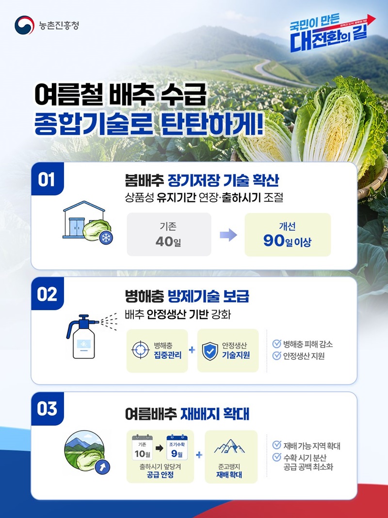 여름철 배추 수급안정, 패키지 기술로 탄탄하게!