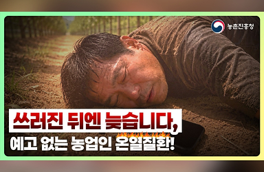 "조금만 더"가 위험한 이유