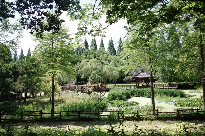 경상남도수목원 풍경 (본인 촬영)