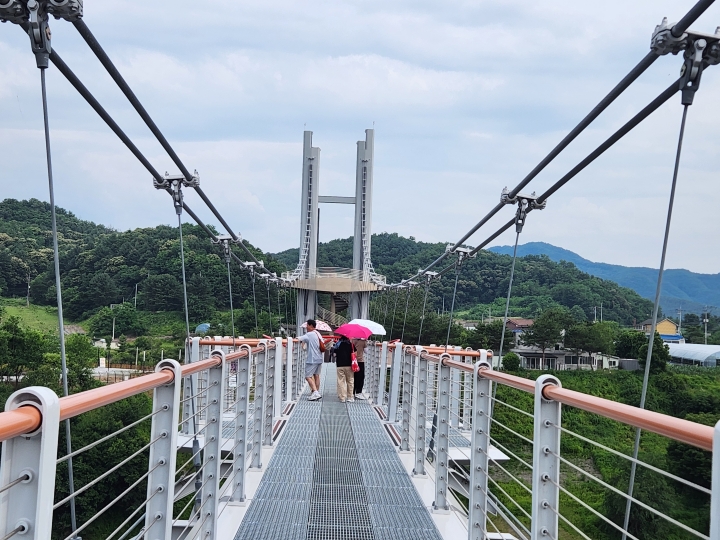 한탄강 출렁다리 전경. 취재를 마친 뒤 찾은 출렁다리에서는 한탄강의 절경과 함께 연천의 또 다른 매력을 만날 수 있었다. (본인 촬영)