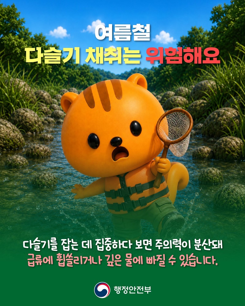여름철 다슬기 채취는 위험해요