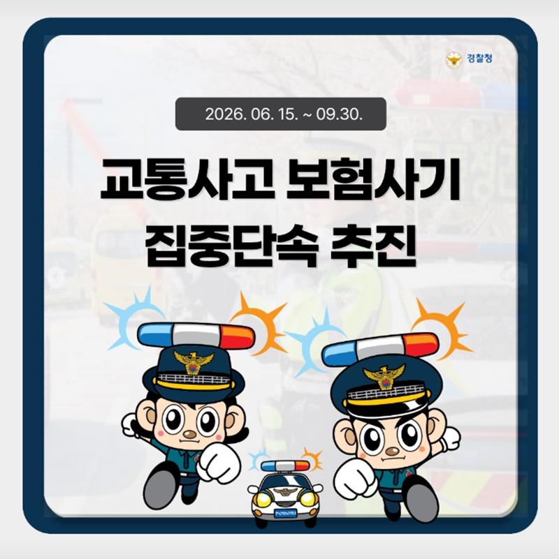 교통사고 보험사기 집중단속 추진