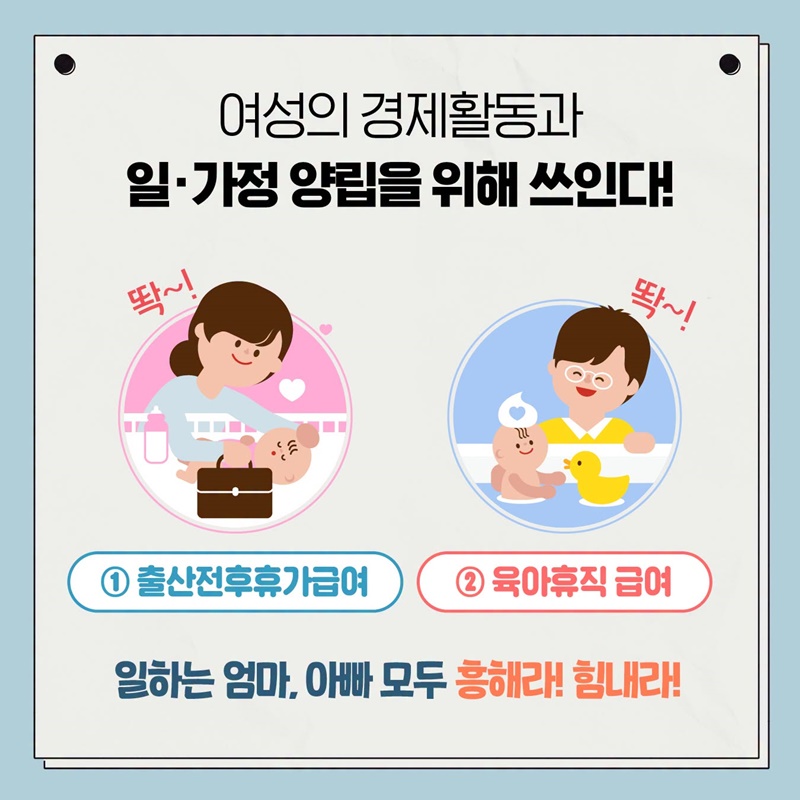 내 월급의 고용보험료는 과연 어디로?