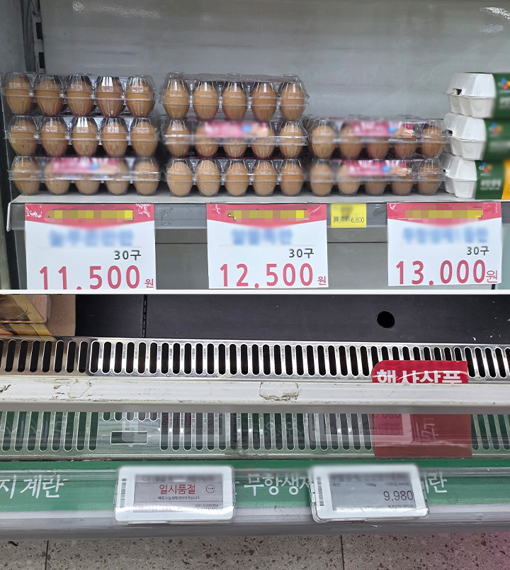 상대적으로 저렴한 가격의 계란 (본인 촬영)