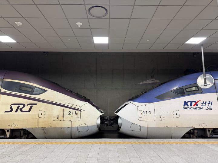 KTX와 SRT열차가 손을 맞잡고 있다. 정부는 올해 말까지 두 회사의 통합을 추진하며 두 번째 단계로 서로 다른 열차의 복합 중련 시범 운행을 하고 있다.