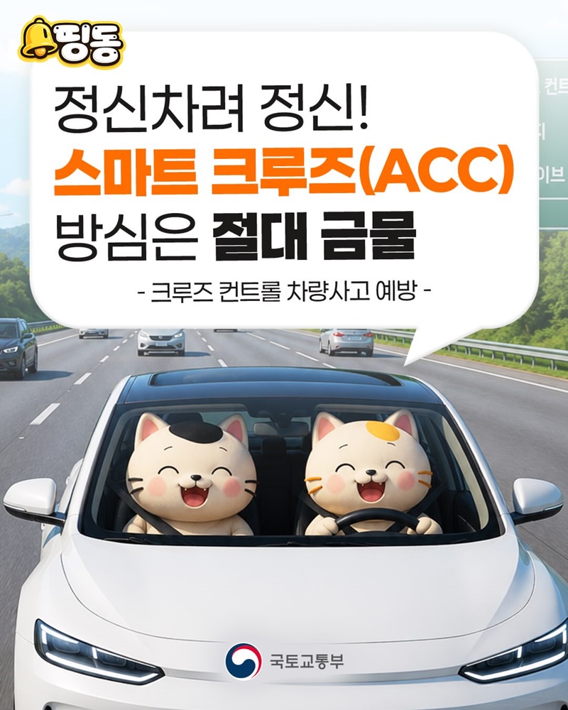 정신차려 정신! 스마트 크루즈(ACC) 방심은 절대 금물