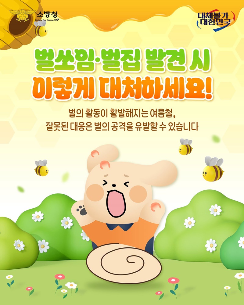 벌 쏘임·벌집 발견 시 이렇게 대처하세요!