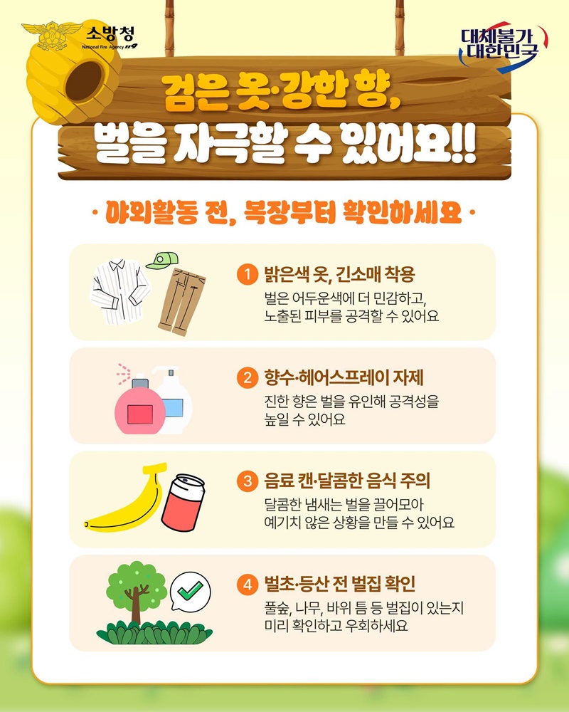 벌 쏘임·벌집 발견 시 이렇게 대처하세요!