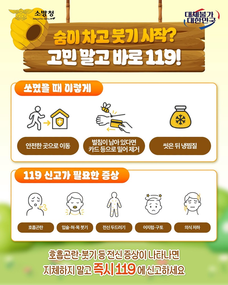 벌 쏘임·벌집 발견 시 이렇게 대처하세요!