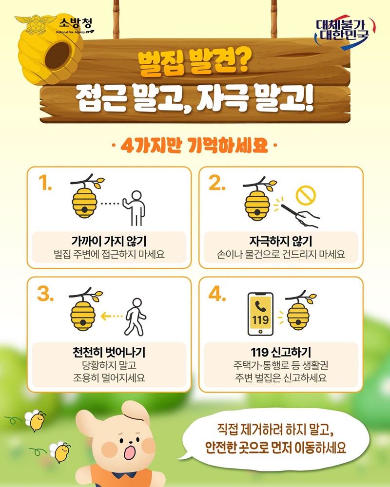 벌 쏘임·벌집 발견 시 이렇게 대처하세요!