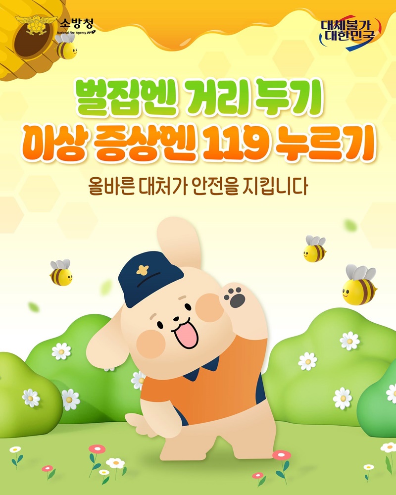 벌 쏘임·벌집 발견 시 이렇게 대처하세요!
