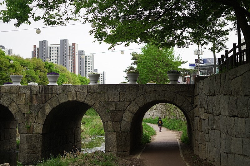 산책로와 자전거 도로가 구분이 잘 되어있다.