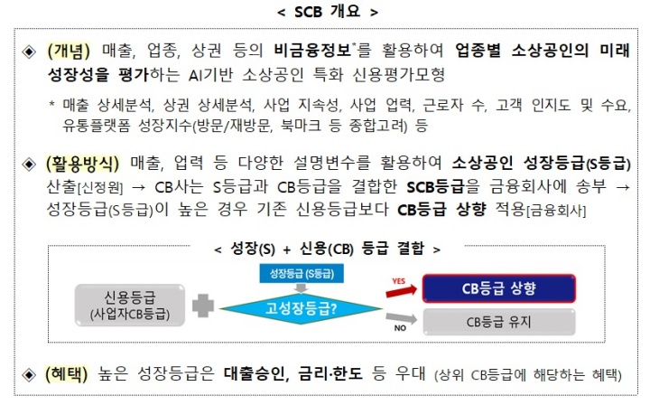 SCB 개요.(자료=금융위원회)